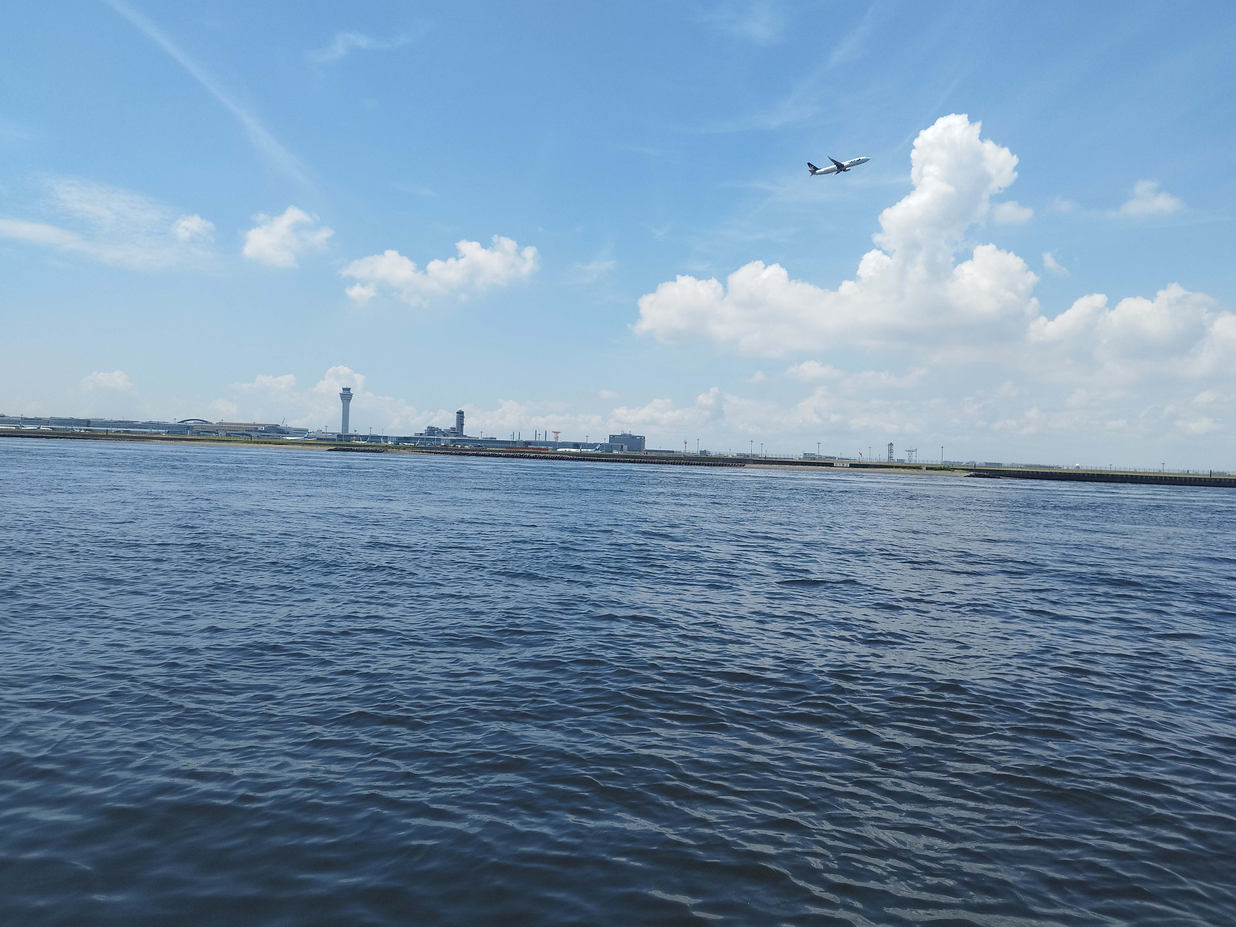 Cruise Image 5